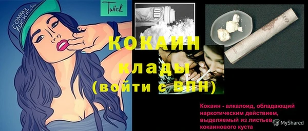 дживик Белокуриха